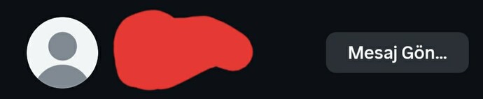 Gizliden Takip Eden Sevgilim?