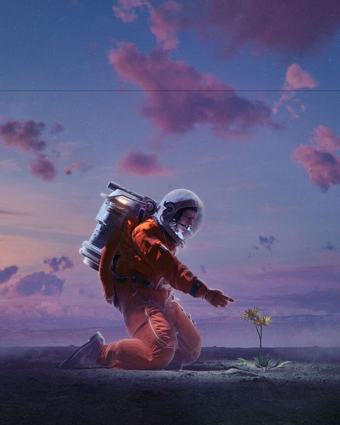 🌓