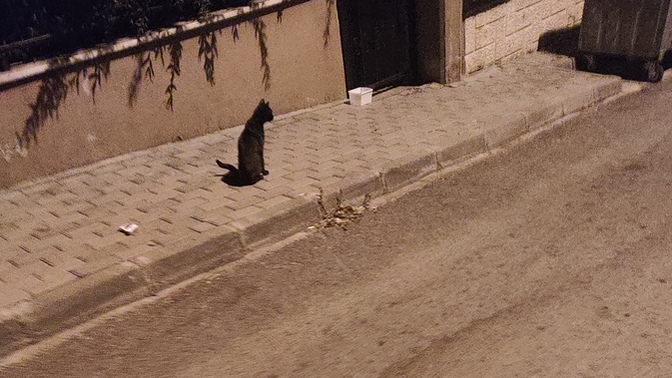 Hala uyuyamayan kaç kişi var?