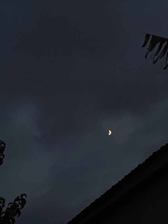 Sen bir ay mısın ben kara gece miyim?