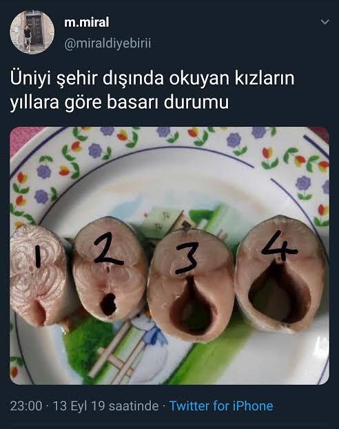 Ailemden uzakta üniversite okumayı düşünüyorum. Artısı eksisi nedir?
