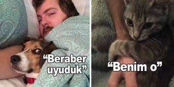 Sizce hayvanlar da utanır mı, kıskanır mı, duygusal olarak alınır mı?