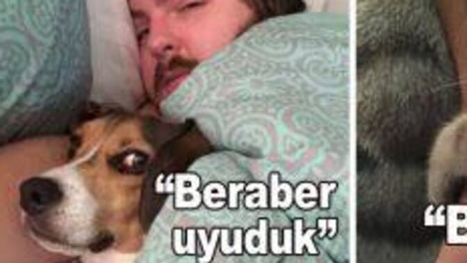 Sizce hayvanlar da utanır mı, kıskanır mı, duygusal olarak alınır mı?