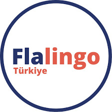 Hangi online İngilizce platformunu denediniz/kullandınız?