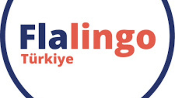 Hangi online İngilizce platformunu denediniz/kullandınız?