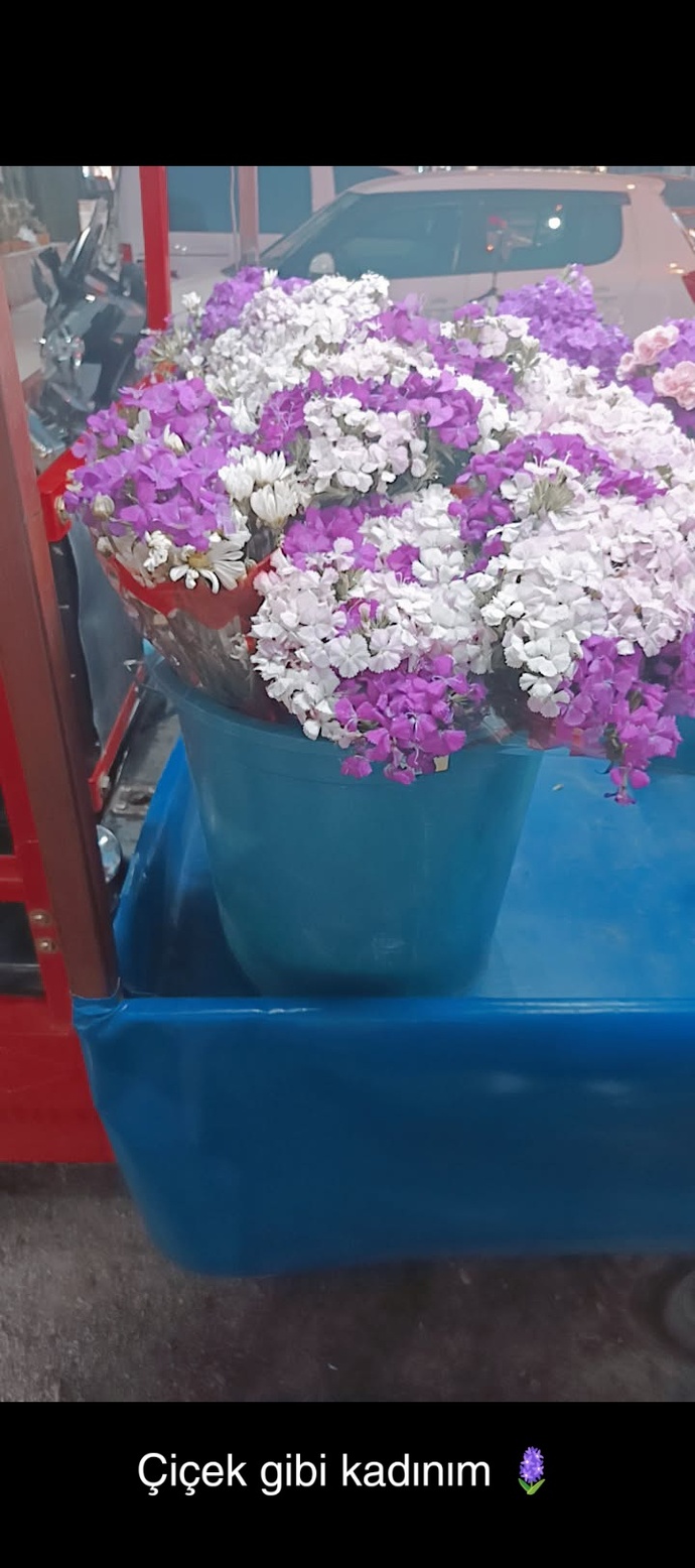 Baylar ve kadınlar hayatınızda hiç çiçek aldınız mı?