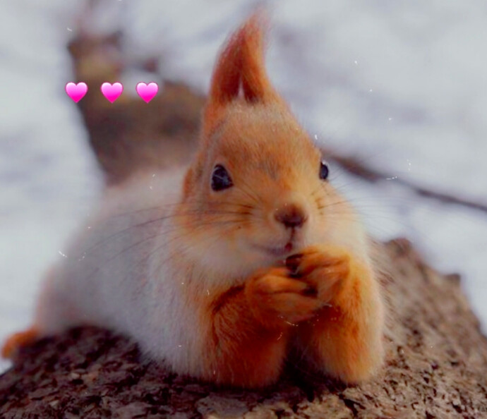 Karşı cinsten, sadece mimikleriyle sizi etkileyen biri oldu mu hiç 😻💘?