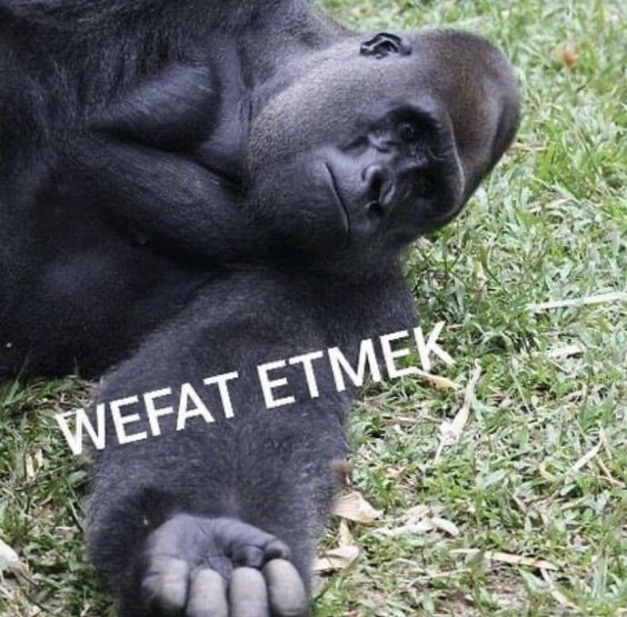 Ecrinimm ile birlikte hangi hava olayını anımsattığınızı söylememizi istermisinizz 🌪️☀️?
