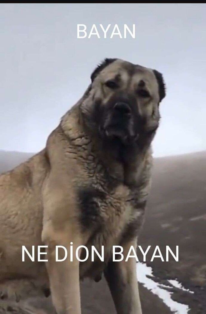 Ecrinimm ile birlikte hangi hava olayını anımsattığınızı söylememizi istermisinizz 🌪️☀️?