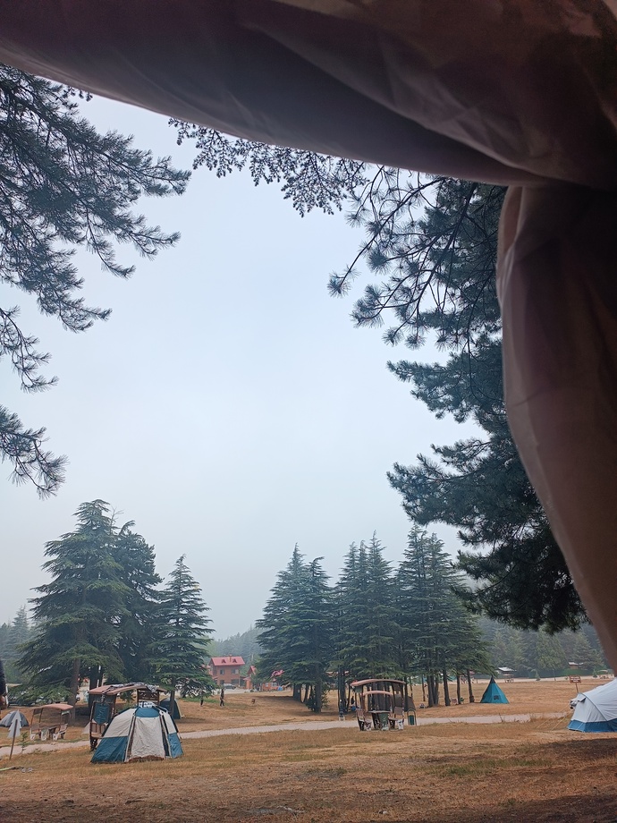 Nasıl bir sabaha uyanmak sizi mutlu ederdi?