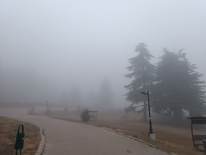 Nasıl bir sabaha uyanmak sizi mutlu ederdi?