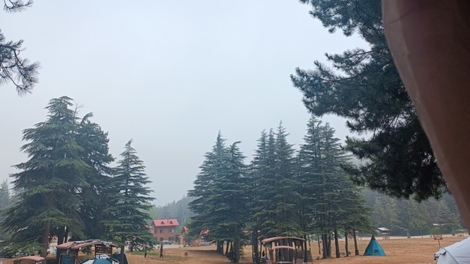 Nasıl bir sabaha uyanmak sizi mutlu ederdi?