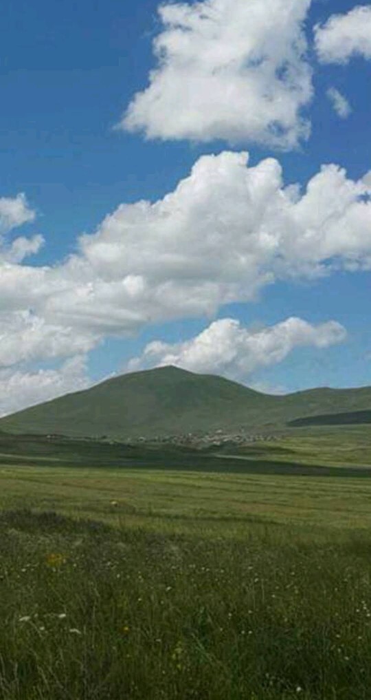 Hep yapmak istediğin ama yapma şansı bulamadığın şey ne?