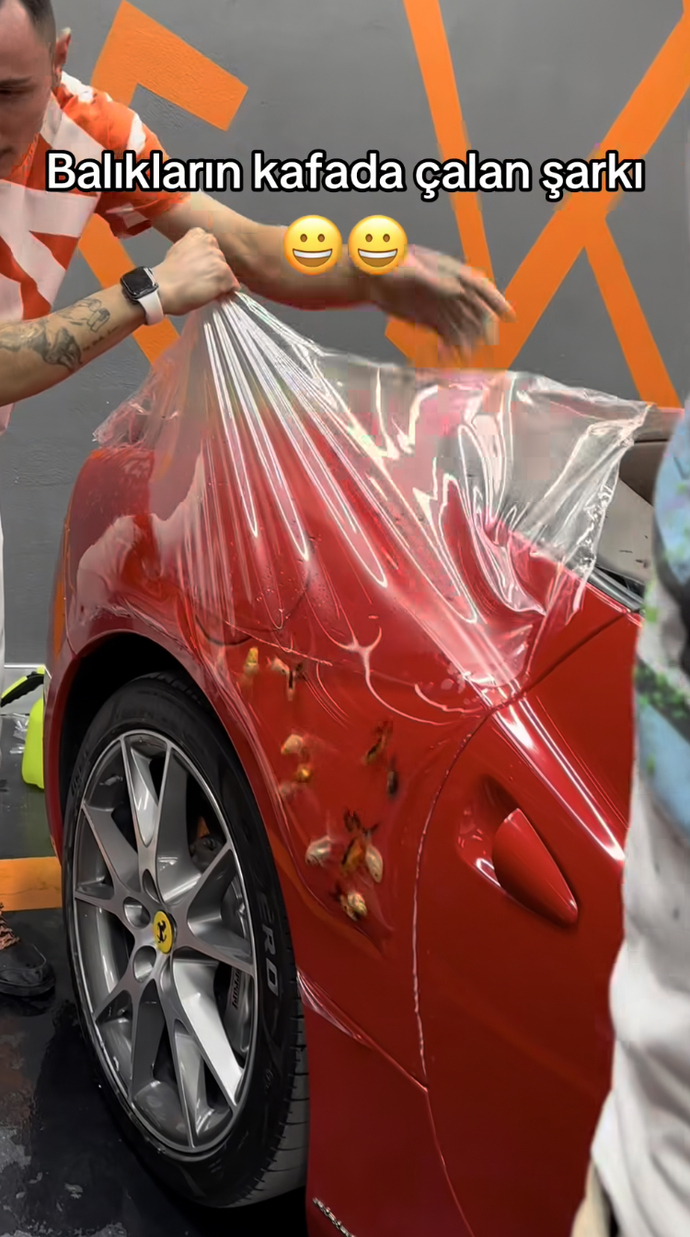 Ferrarisini balıkla kaplatan adam. Sizce hayvanlara ettiğimiz işkenceler ne zaman bitecek?