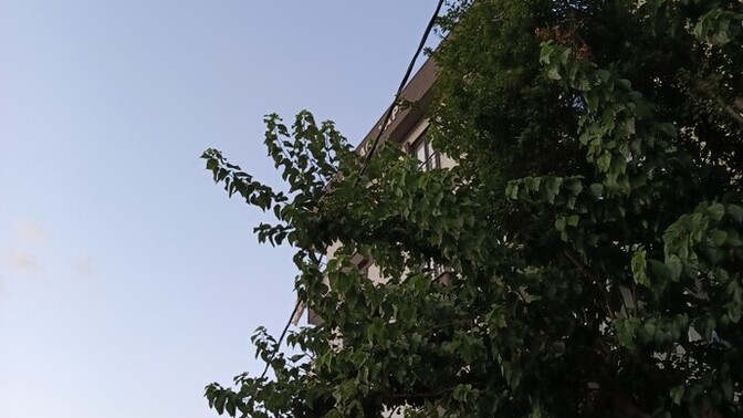 Hele gelin millet bişey diyicem nerdesiniz?