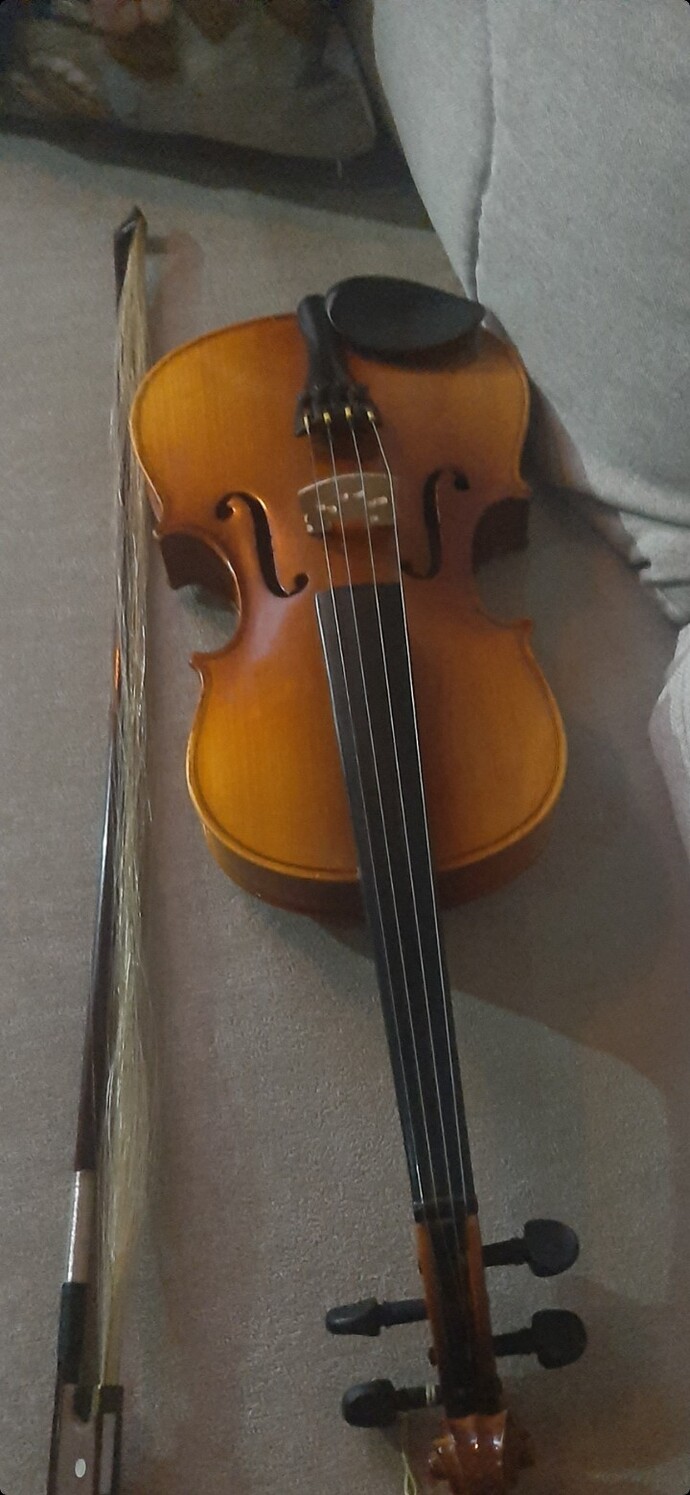 Çaldığın veya çalmak istediğin bir müzik aleti var mı?