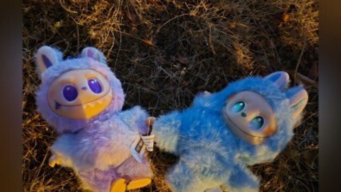 Peluş oyuncak Labubu çılgınlığına kimler katıldı?