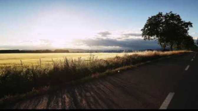 Bu devirde anaya/babaya bile güvenilmez sözüne katılıyor musunuz?