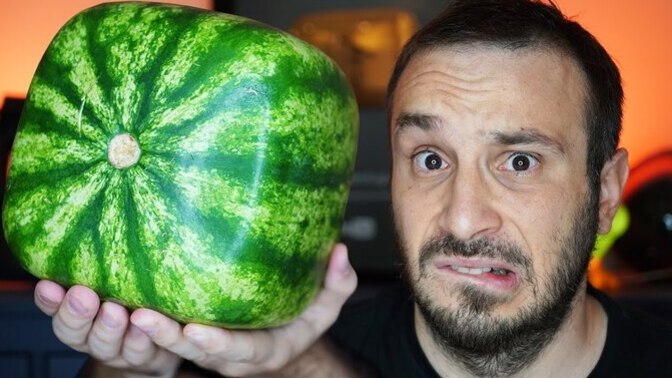Pazara inen yapay zeka, kelek karpuzları seçiyor! Yapay zekaya en çok ne danışıyorsunuz?