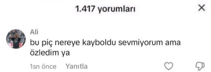 Eski sevgililerinizi veya flörtlerinizi özler misiniz?