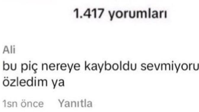 Eski sevgililerinizi veya flörtlerinizi özler misiniz?