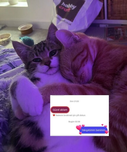 Şanslı olduğunuz konular var mı?
