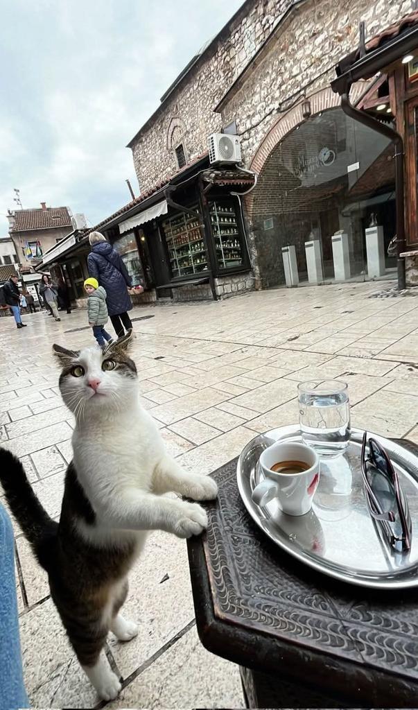 Hadi kalk kahve içmeye çıkalım diyebileceğiniz birileri var mı?