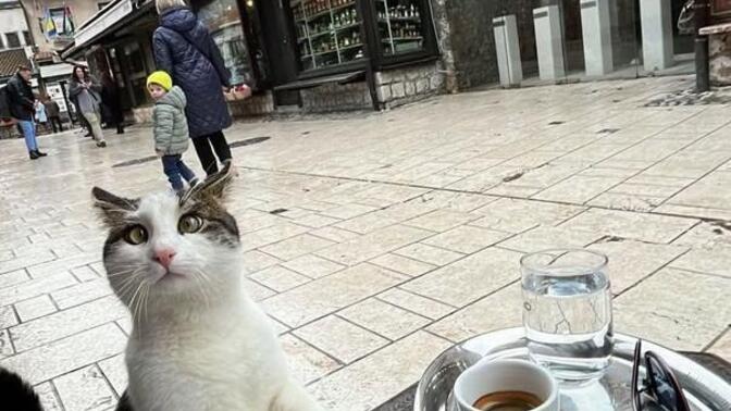 Hadi kalk kahve içmeye çıkalım diyebileceğiniz birileri var mı?