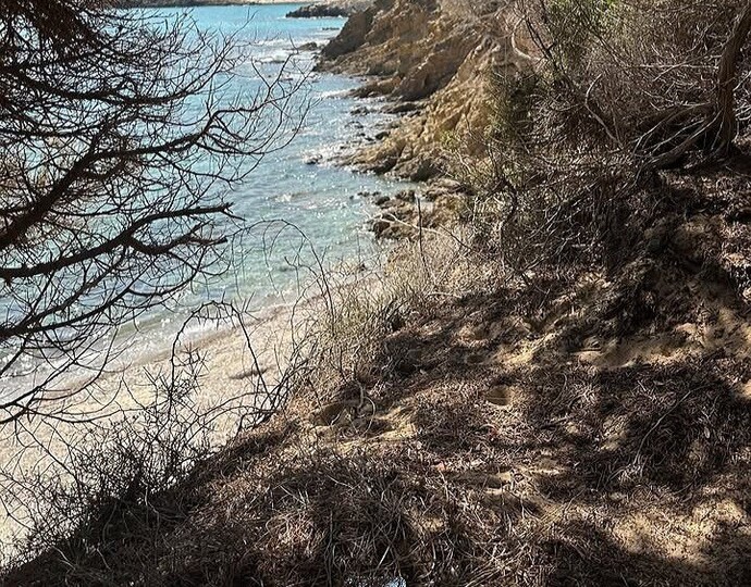 Tatilde kalabalık beachleri / sahilleri mi tercih edersiniz yoksa sessiz sakin koyları mı? Kalabalık olması sizi rahatsız eder mi?