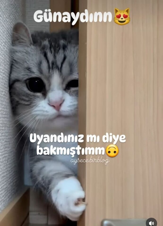 Günaydınnn 🌞? Kahvaltı yaptınız mı?