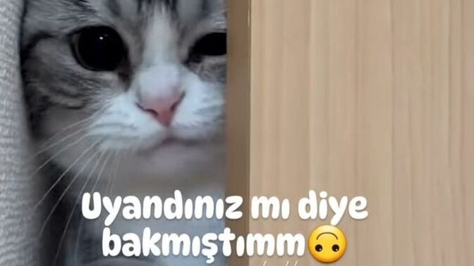 Günaydınnn 🌞? Kahvaltı yaptınız mı?