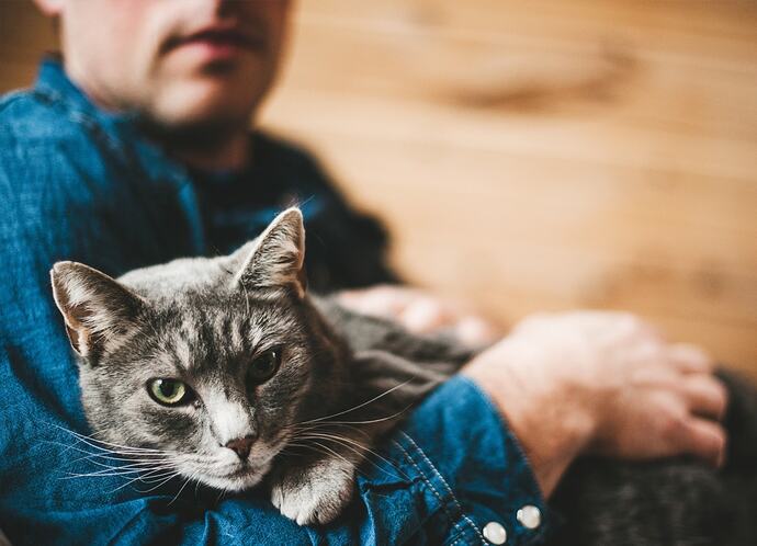 Bir Erkeğin Kedi Beslemesi mi Daha Havalı Yoksa Bir Kızın İguana Beslemesi mi Daha Dikkat Çekici?