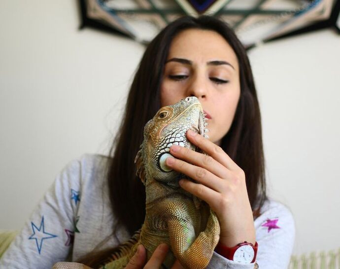 Bir Erkeğin Kedi Beslemesi mi Daha Havalı Yoksa Bir Kızın İguana Beslemesi mi Daha Dikkat Çekici?