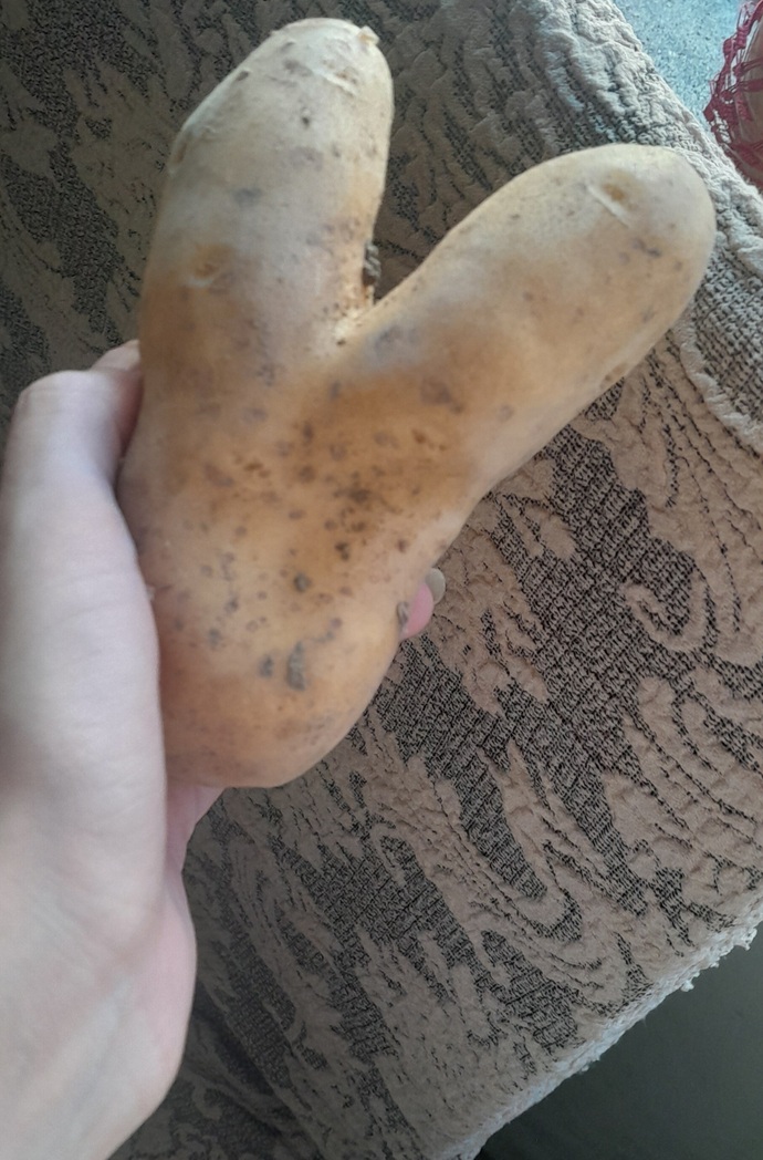 Yoksa gelecek aşkımın isimi Y harfiyle mi başlıyor 🙄
