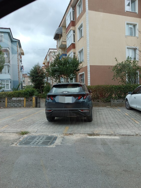 Siz de böyle harika ve kusursuz park edebiliyor musunuz?
