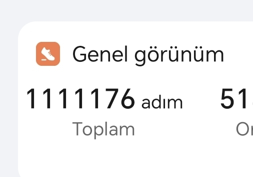 2025 yılında bu kadar adım attım sizce iyi mi?