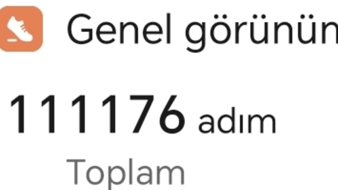 2025 yılında bu kadar adım attım sizce iyi mi?