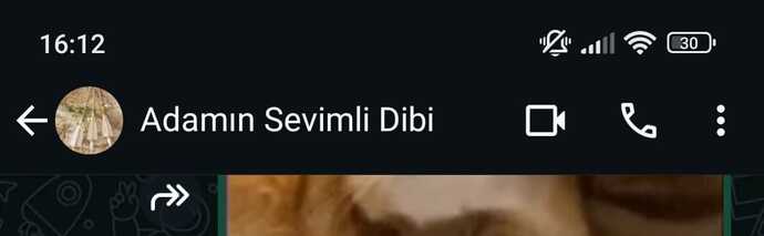 Sizide böyle garip şekillerde kaydeden arkadaşlarınız var mı?
