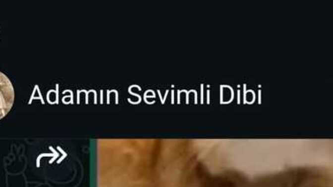 Sizide böyle garip şekillerde kaydeden arkadaşlarınız var mı?