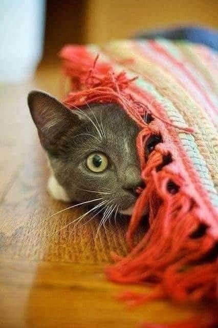 Nasıl geçti bugün zaman?