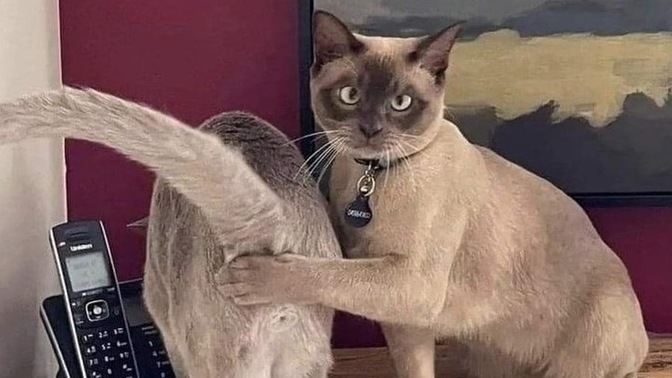 Sevgilinizin kıskanç tavırları sizi rahatsız eder mi?