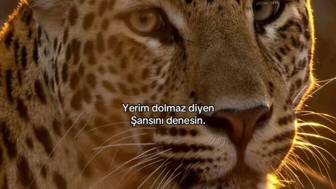 Yeriniz hemen dolar mı?