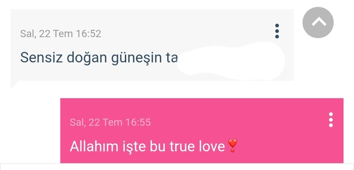 Sevgilinizle/flörtle konuşurken argo küfür kullanıyor musunuz?