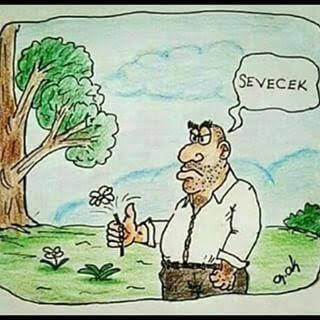 Diretilen şeyler