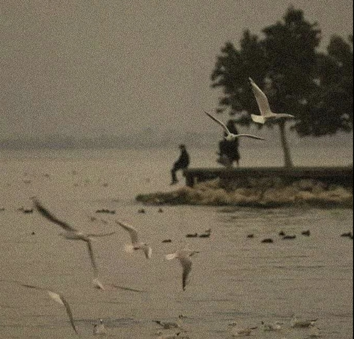 Kişi, mantık, zaman