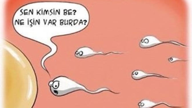 Kendini ait olmadığın yerde hissettiğin oldu mu?