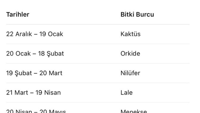 Doğum ayınıza göre hangi bitkisiniz?