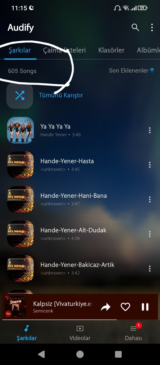 Telefonunuzda kaç tane şarkı var?