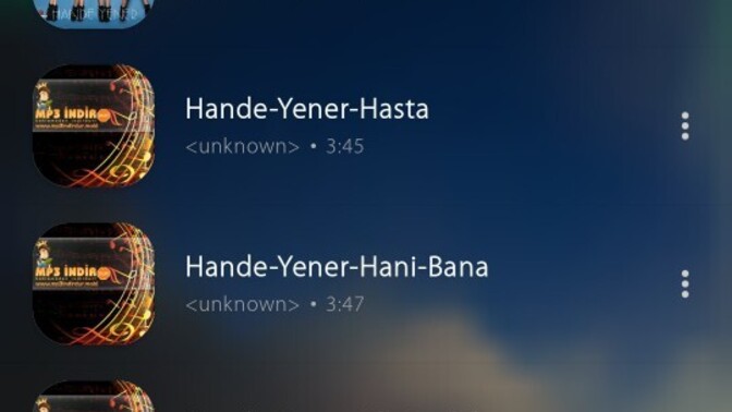 Telefonunuzda kaç tane şarkı var?