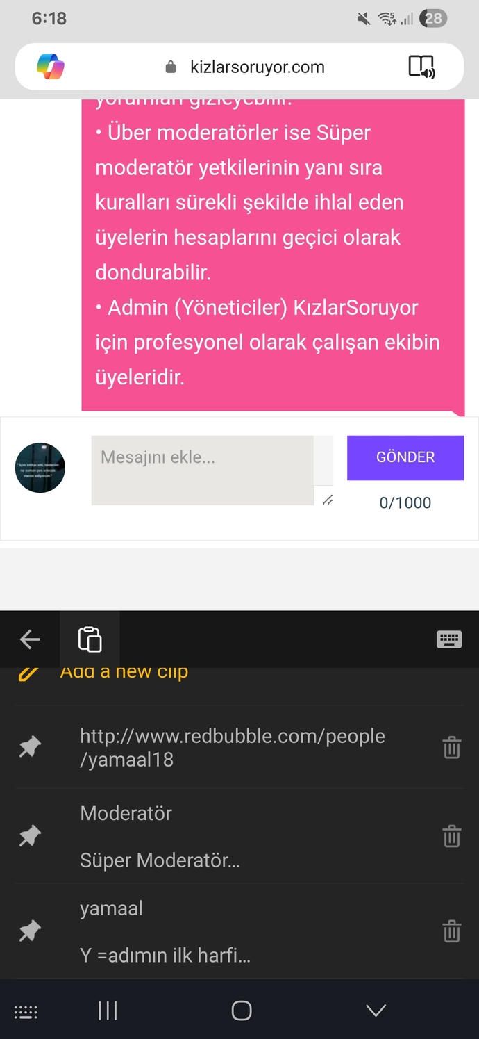 Sık sık size sordukları soruları bir yer kaydedip başka biri sorduğu zaman atar mısınız?